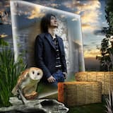 Labyrinth in the Mirror