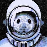 Beach Ukulele Party (30 sec)