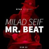 Mr. Beat (Original Mix)