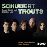 Quintet for Violin, Viola, Cello, Double Bass and Piano in A major “Trout Quintet”, op. 114 post., D 667: III. Scherzo. Presto
