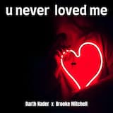 U Never Loved Me