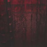 World-Wide Life & Death