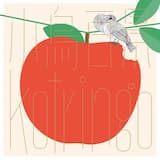 サヨとコウの出発