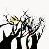 The Valley of Vector