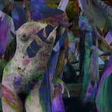 La voix de l'araignée