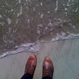 Here I Am/A Rose Is a Rose