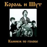 Камнем по голове