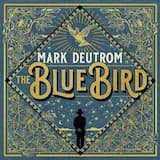 No Space Holds the Weight