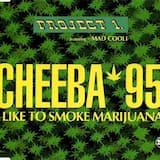 Cheeba '95 - I Like to Smoke Marijuana (original)