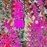 All Things Evergreen