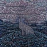 Bacach Shíol Andaí