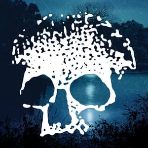 Planes Mistaken for Stars avatar