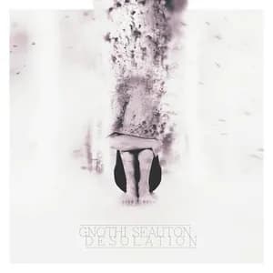 Gnothi Seauton avatar