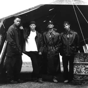 Marky Mark and the Funky Bunch avatar