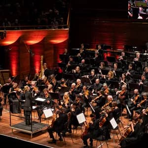 New Zealand Symphony Orchestra avatar