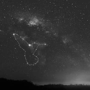 Random Movement avatar