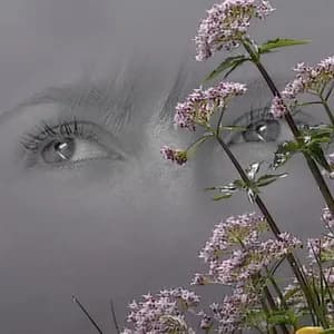 drew the architect avatar