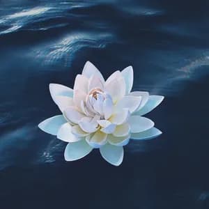 Jencarlos Canela avatar