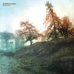 Peter Bjärgö avatar