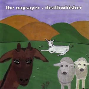 The Naysayer avatar