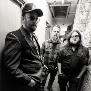 Spider Kitten avatar