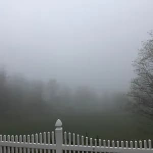 Recalibration Machine avatar