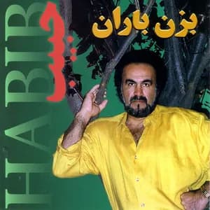Habib Mohebian avatar