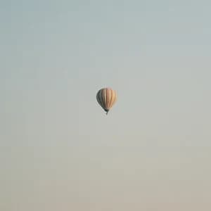 Marconi Union avatar