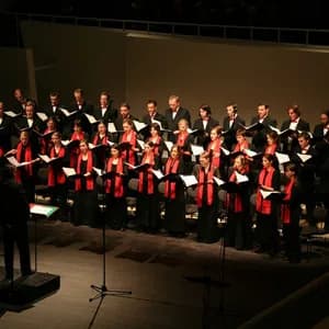 Dresdner Kammerchor avatar