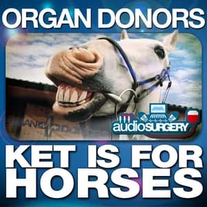 Organ Donors avatar