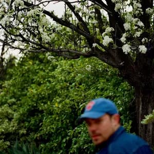 Jeff Rosenstock avatar