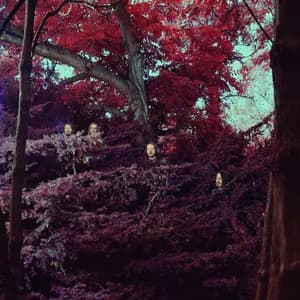 Kairon; IRSE! avatar