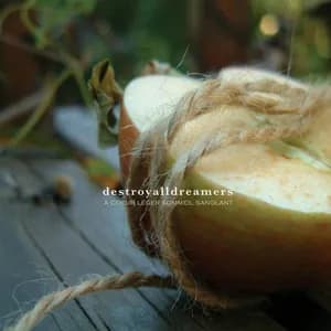 Destroyalldreamers avatar