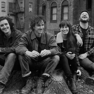 The Felice Brothers avatar