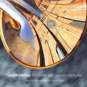 Pierre Certon avatar