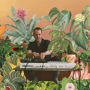 Monster Rally avatar