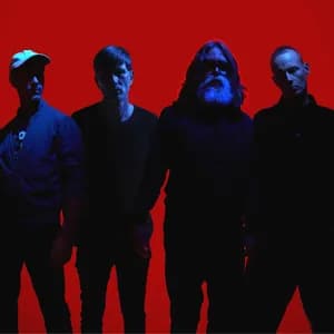 The Amplifetes avatar