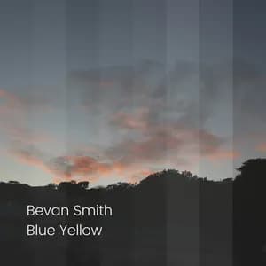 Bevan Smith avatar