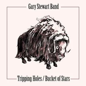 Gary Stewart Band avatar
