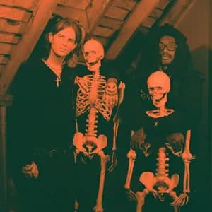 Danger Incorporated avatar