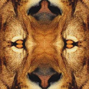 Taggy Matcher avatar