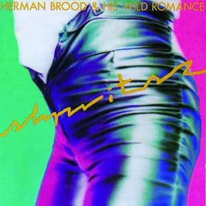 Herman Brood & His Wild Romance avatar