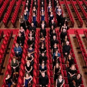 The King’s Consort avatar