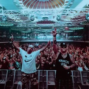 Virus Syndicate avatar