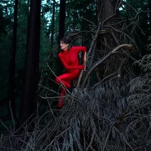 Françoiz Breut avatar