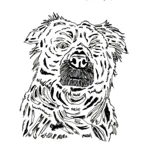 Common Grackle avatar