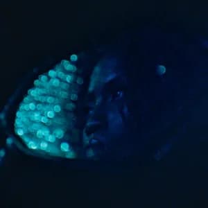 Francesca Wexler avatar