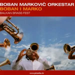 Boban Marković Orkestar avatar