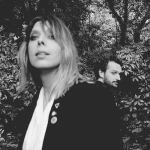 Cats on Trees avatar