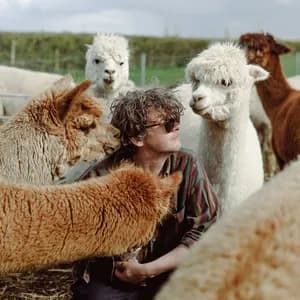 Bill Ryder-Jones avatar